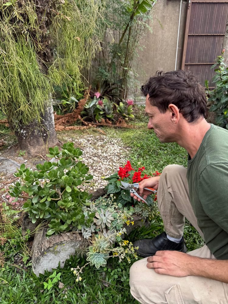 Implantação de Jardins